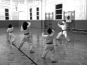 Dojo 2013-48